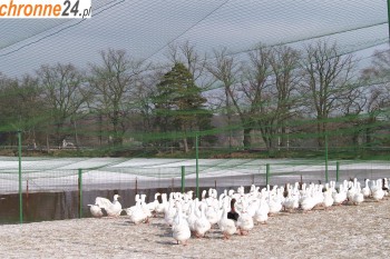  Mocna siatka na przykrycie woliery z hodowlą - kur, kaczek 